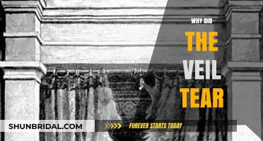 The Torn Veil: Unveiling the Symbolic Meaning Behind Its Rending