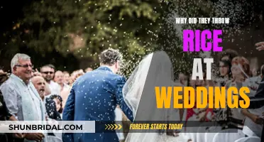 The Ancient Tradition of Throwing Rice at Weddings Explained