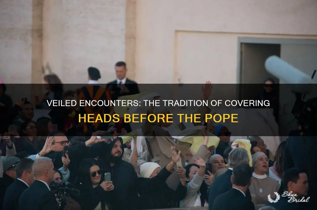 why did they wear a veil to see the pope
