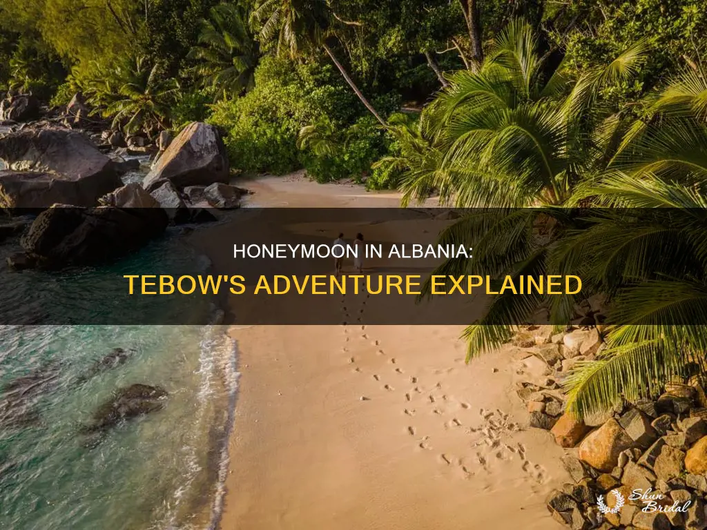why did time tebow honeymoon in albania