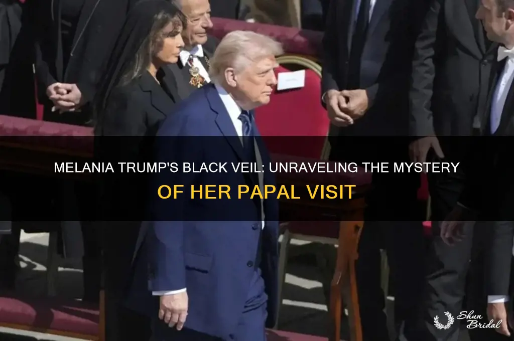 why did trumps wear black veil to see pope