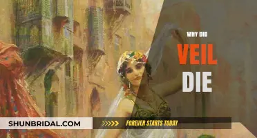 The Mysterious Death of Veil: Unraveling the Tragic End