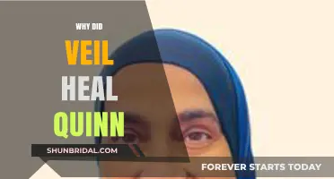 Veil's Healing Power: Unraveling the Mystery Behind Quinn's Recovery