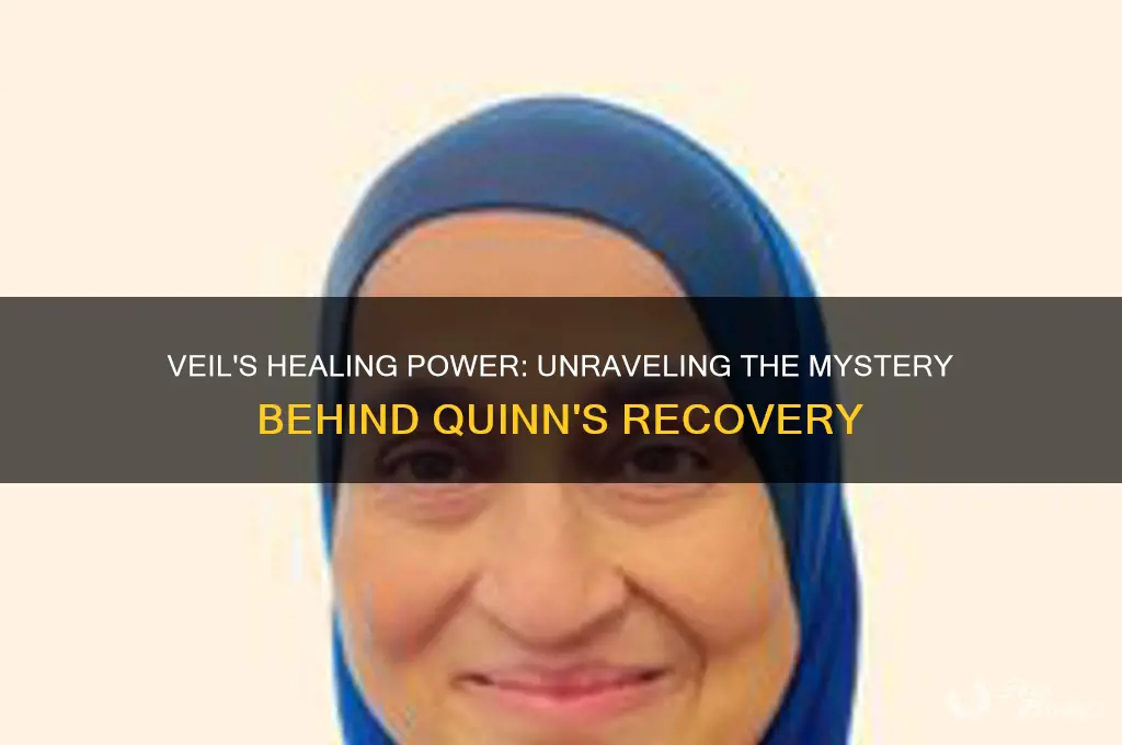 why did veil heal quinn