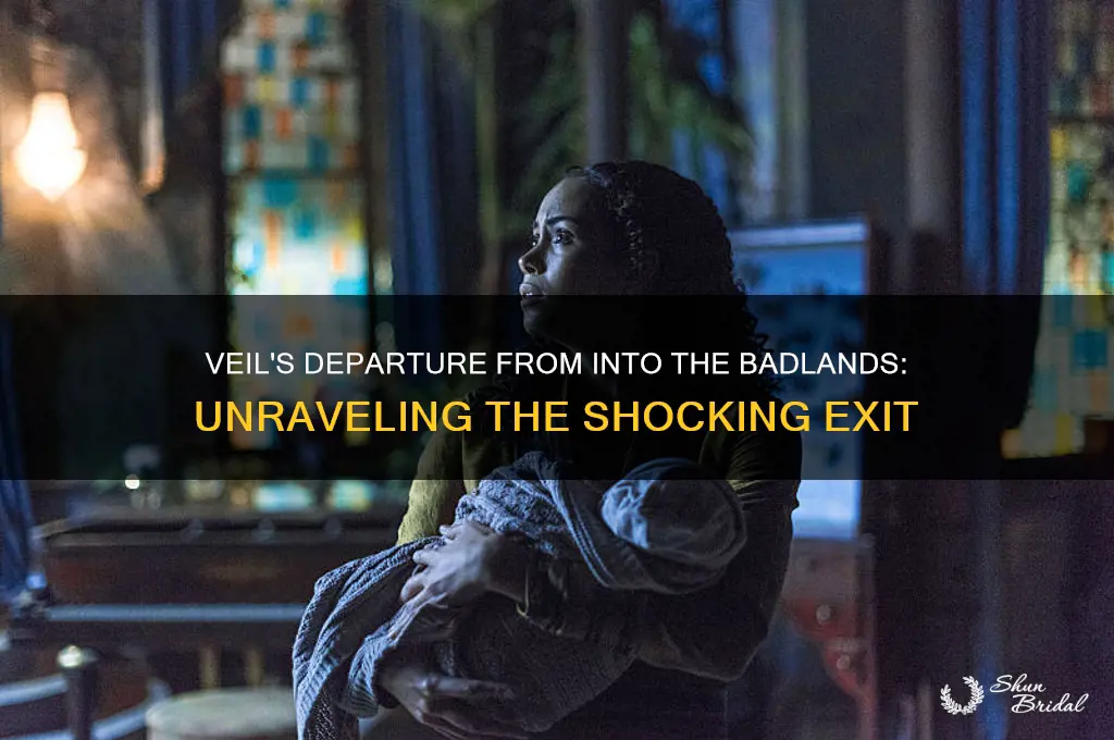 why did veil leave into the badlands