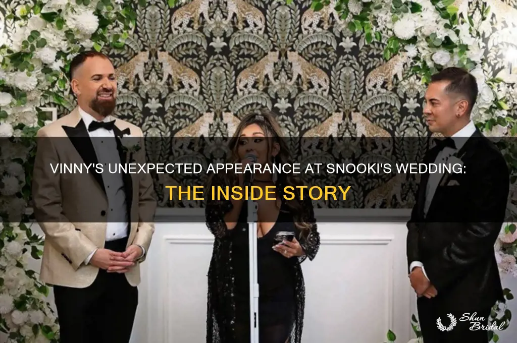 why did vinny go to snooki wedding