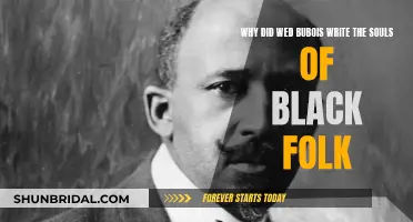 The Souls of Black Folk: W.E.B. Du Bois' Call to Action