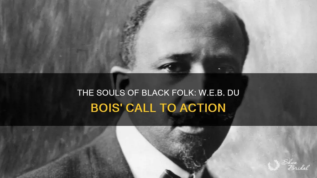 why did wed bubois write the souls of black folk