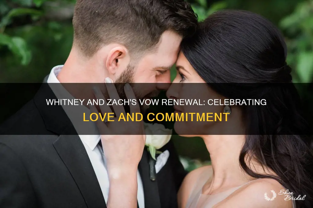 why did whitney and zach renew their vows