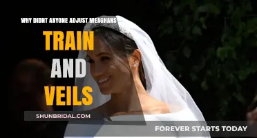 Meghan's Royal Wedding: The Unadjusted Train and Veil Mystery
