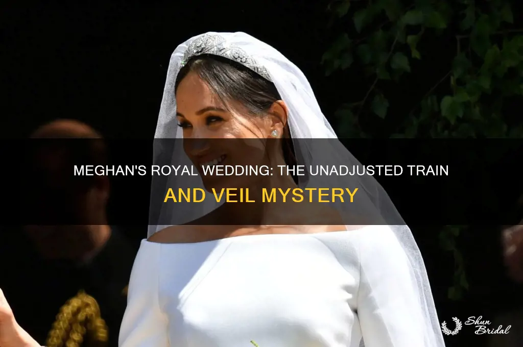 why didnt anyone adjust meaghans train and veils