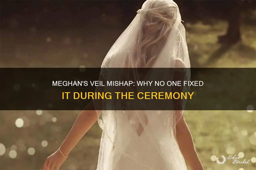 why didnt anyone fix meaghans veil during the cerominy