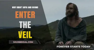 Arya and the Hound: The Unspoken Reasons Behind Their Veil Decision