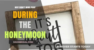 Honeymoon Mystery: Why Mike Didn't Poop on Their Romantic Getaway