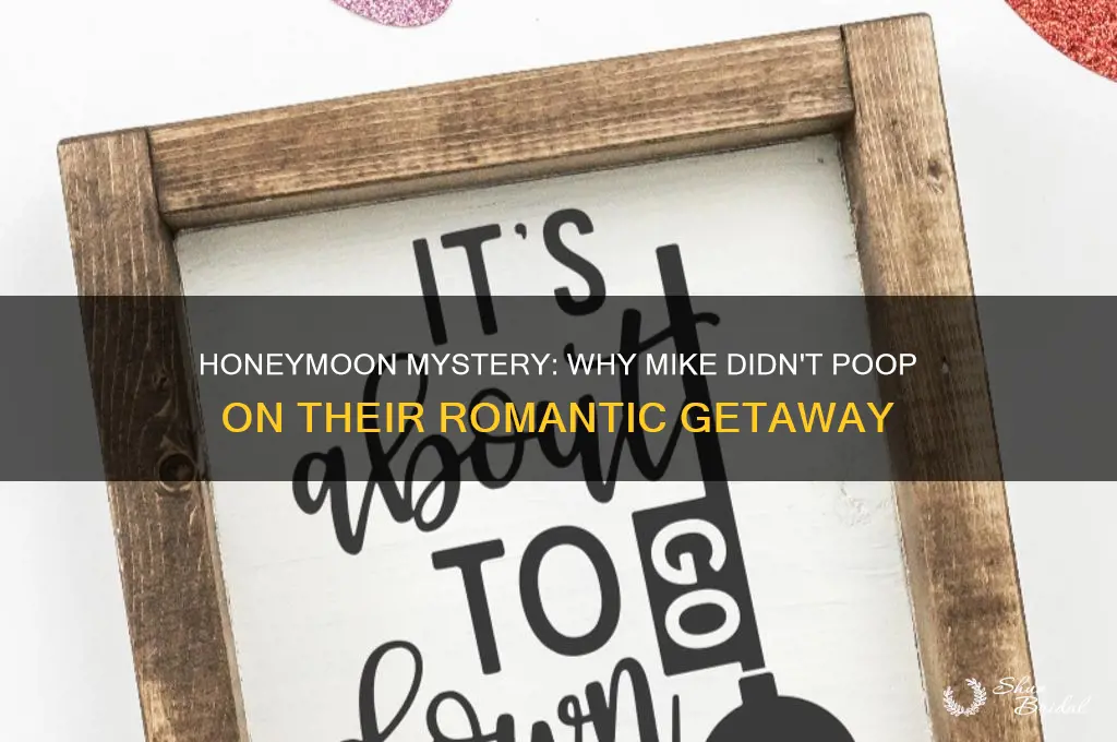 why didn
