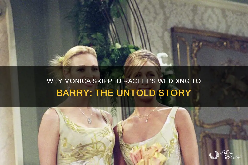 why didnt monica go to rachels wedding to barry