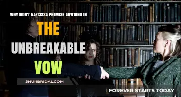 Narcissa's Silence: Unraveling the Unbreakable Vow's Missing Promise