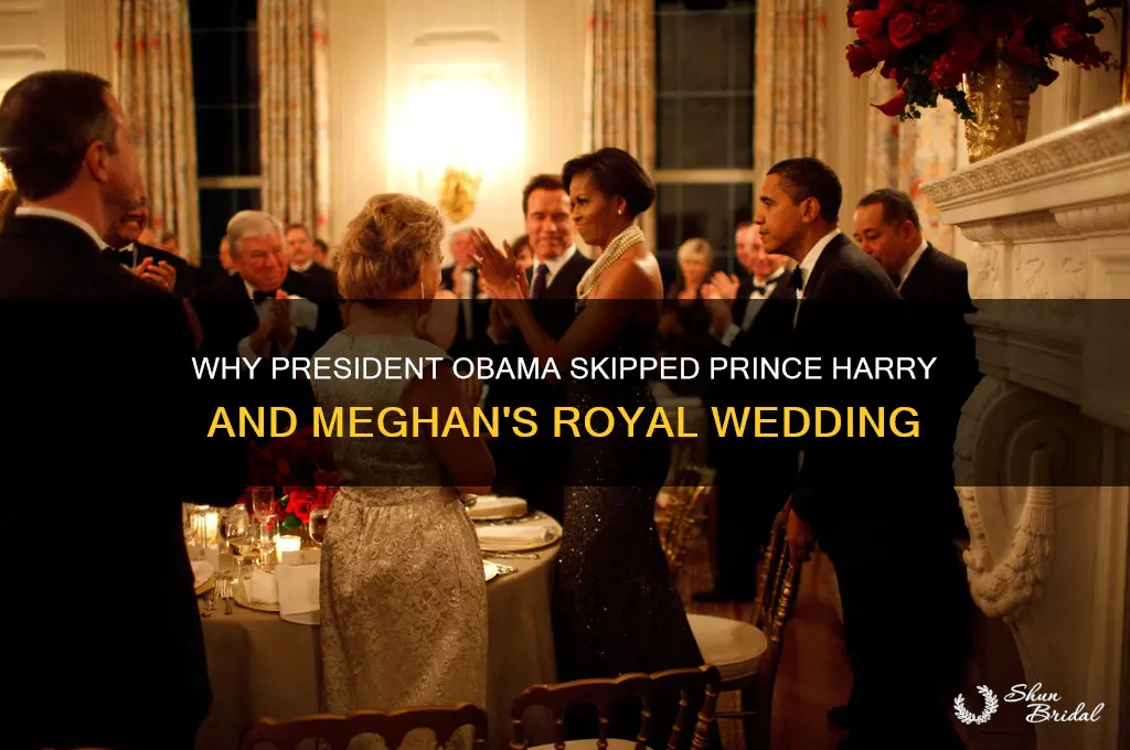 why didnt president ibama go to the royal wedding