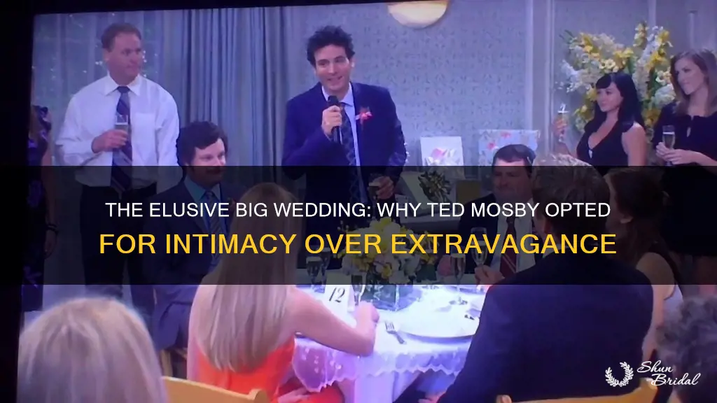 why didnt ted mosby have a big wedding