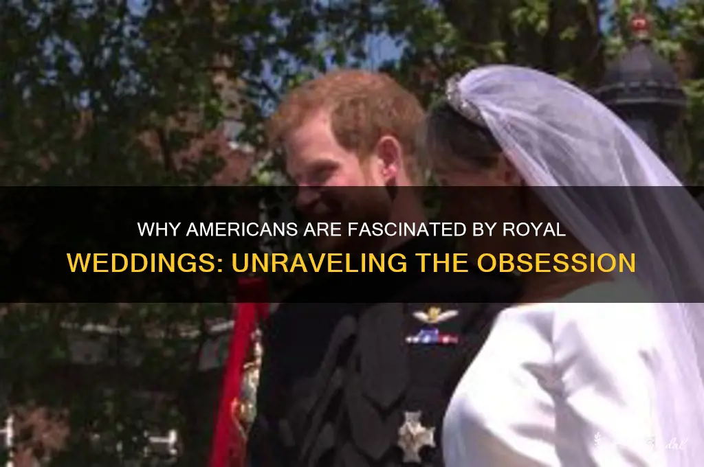 why do americans cqre qbout royal wedding
