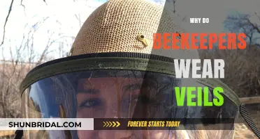 Protecting Against Stings: The Essential Role of Veils in Beekeeping