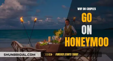 Exploring Newlywed Bliss: The Honeymoon's True Purpose