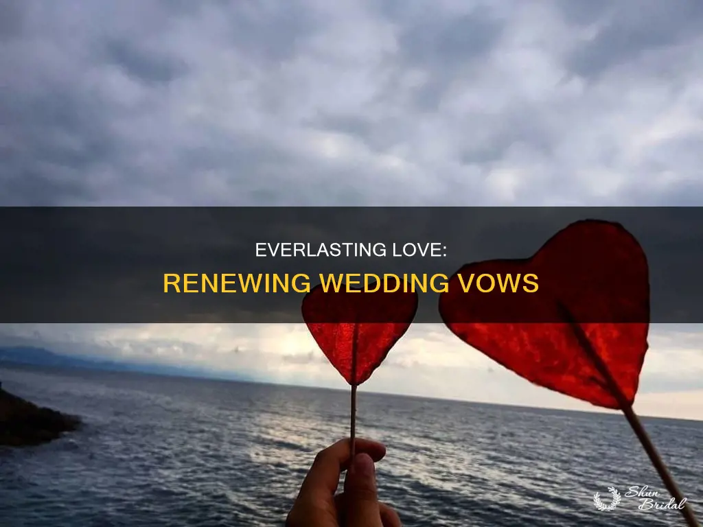 why do couples renew their wedding vows