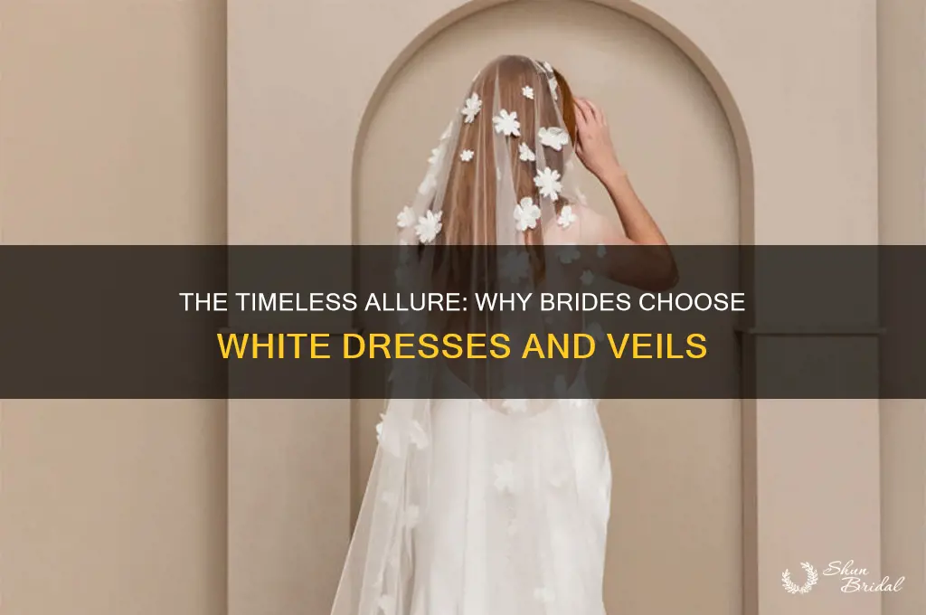 why do females want a white dress and veil