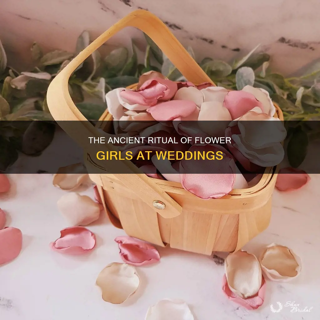 why do flower girls throw flowers at weddings