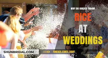 Rice Toss Tradition: Unveiling the Symbolism Behind Wedding Celebrations