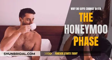Understanding Men: The Honeymoon Phase and its Demise
