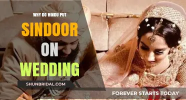 The Significance of Sindoor in Hindu Weddings