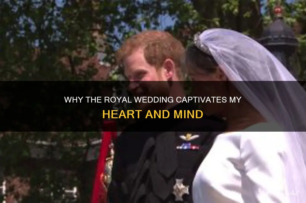 why do i care about the royal wedding
