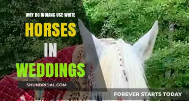 White Horses at Indian Weddings: A Symbol of Purity