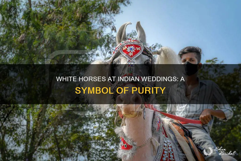 why do indians use white horses in weddings
