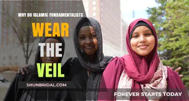 Understanding the Veil: Islamic Fundamentalism and Religious Modesty Explained