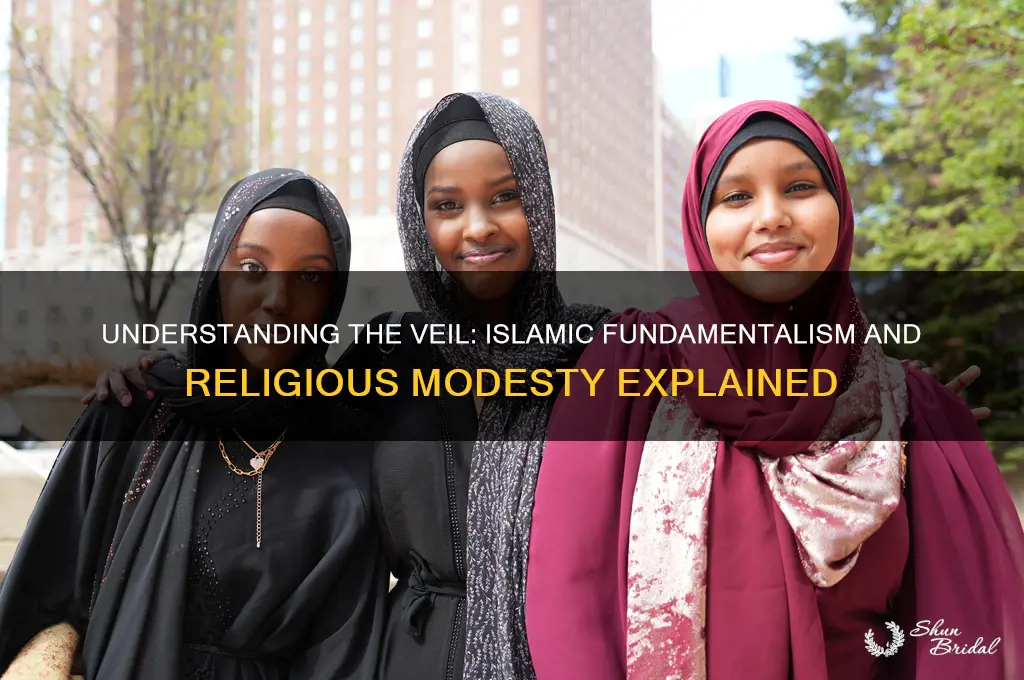 why do islamic fundamentalists wear the veil