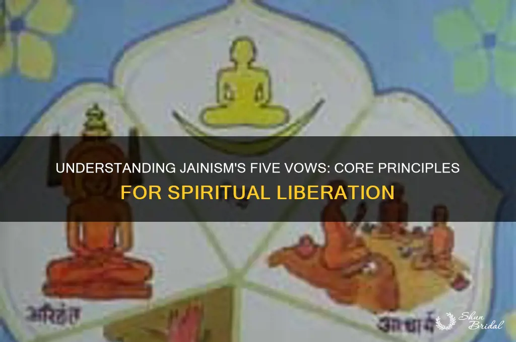 why do jainism follow the 5 vows