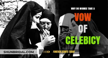 Celibacy in Monastic Life: Spiritual Purpose and Selfless Devotion Explained