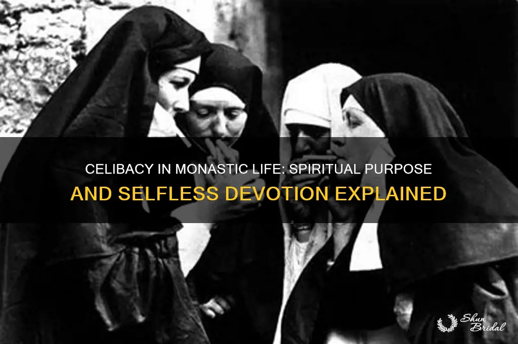 why do monks take a vow of celebicy