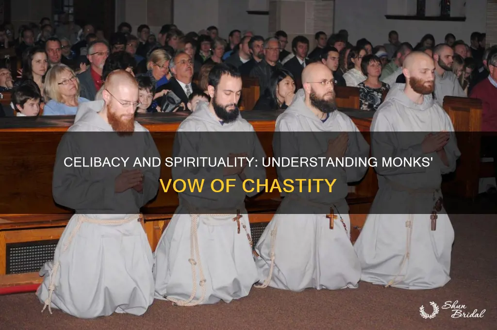 why do monks take a vow of celibacy