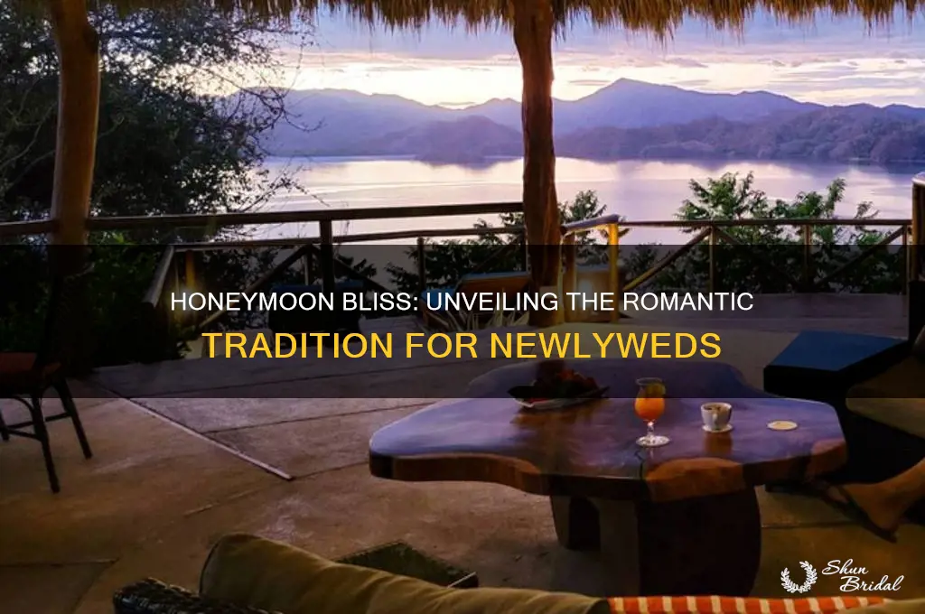 why do newlyweds go on honeymoon
