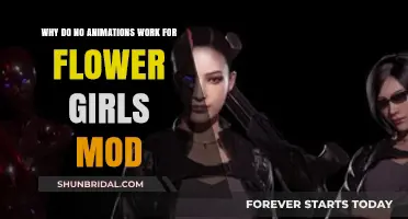 Troubleshooting Flower Girls Mod: Why Animations Fail to Function