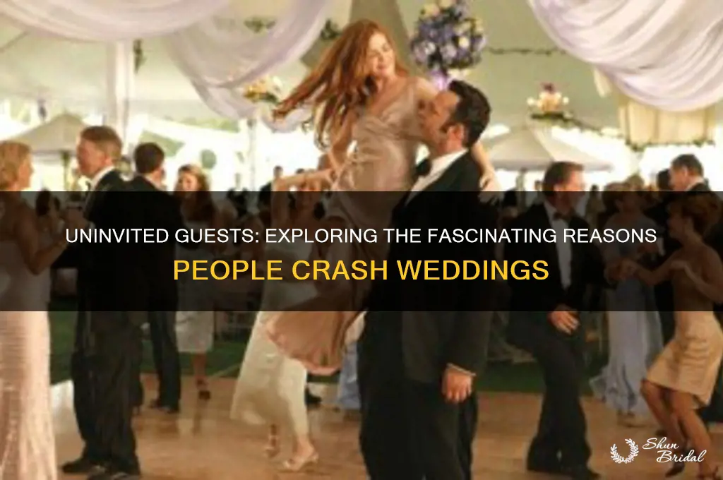 why do people crash weddings