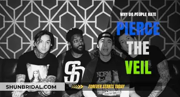 Why Do Fans and Critics Hate Pierce the Veil?