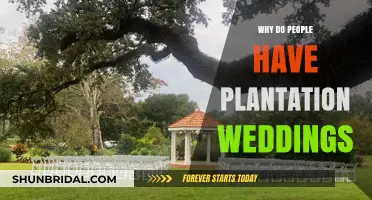 Plantation Weddings: Exploring the Allure and Controversy of Historic Venues