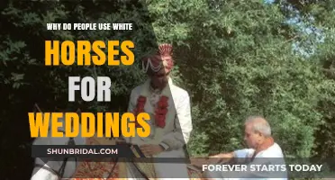 Why White Horses Symbolize Elegance and Romance in Weddings
