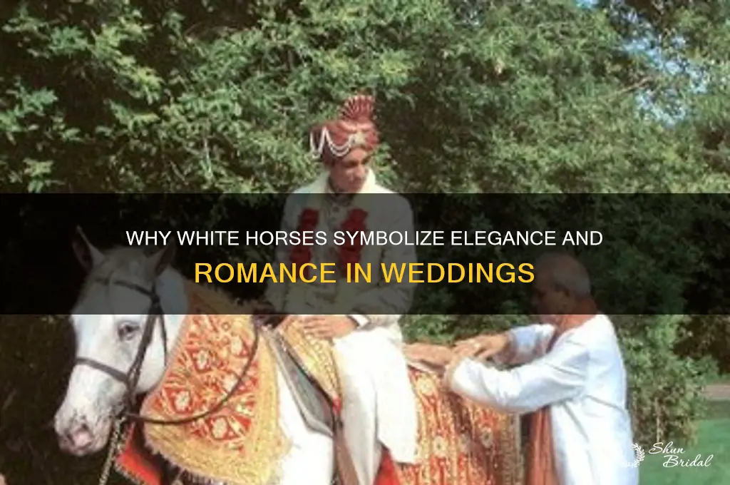 why do people use white horses for weddings