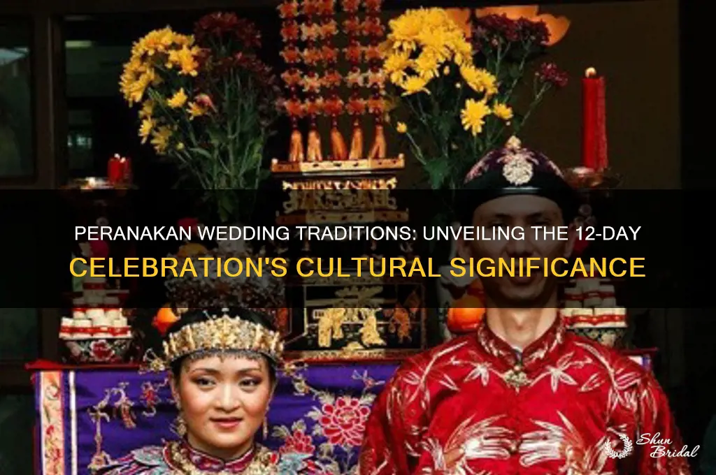 why do peranakan weddings last for 12 days