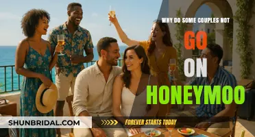Skipping the Honeymoon: Reasons Couples Opt Out of Post-Wedding Getaways